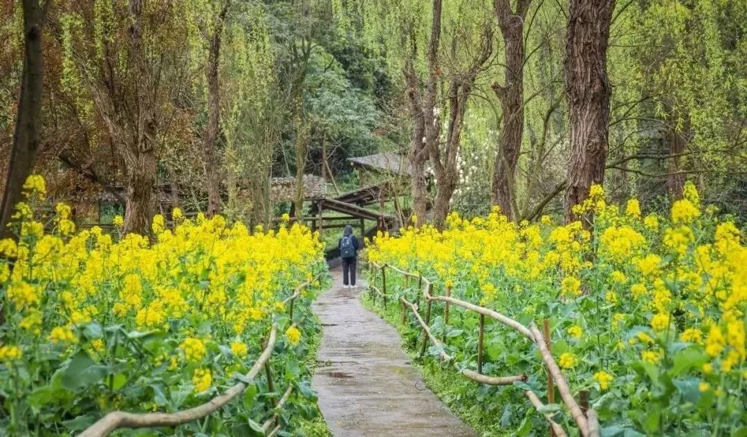 重慶畫(huà)室培訓(xùn)助你考上川美！體驗(yàn)川美校園環(huán)境，提前愛(ài)上她！