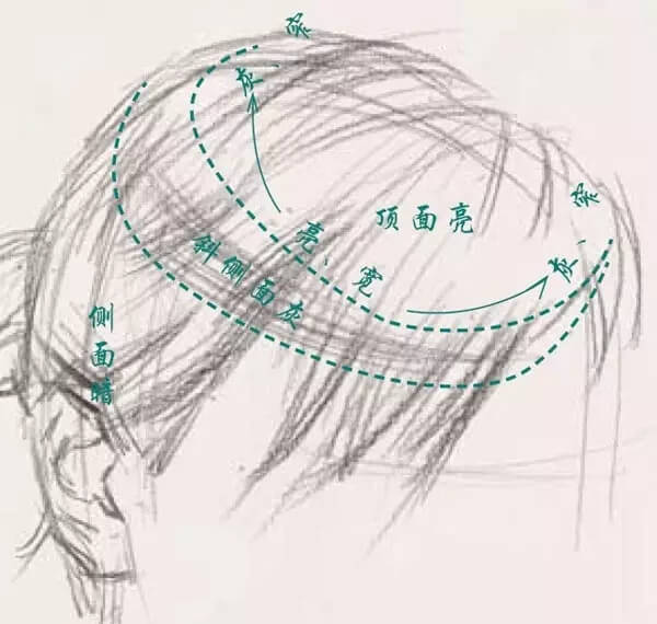 素描頭像的發(fā)絲教學！跟著重慶美術(shù)集訓畫室老師看看吧，圖一